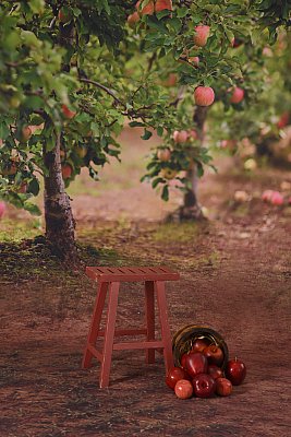 Apple_Orchard_Background_sample.jpg